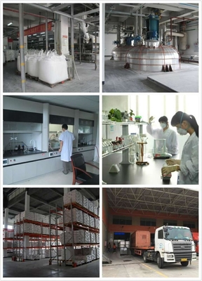 Low Curing 50/50 Polyester Epoxy Resin With Good Board Appearance